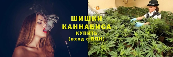 spice Вязьма