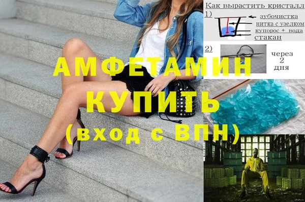 ПСИЛОЦИБИНОВЫЕ ГРИБЫ Горняк