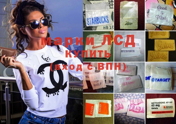 ПСИЛОЦИБИНОВЫЕ ГРИБЫ Горняк