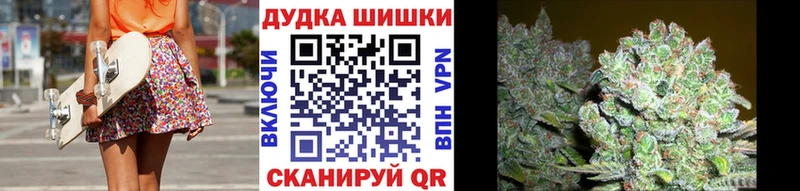 МАРИХУАНА сатива Западная Двина